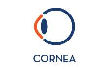 Cornea